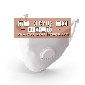 N95 口罩
