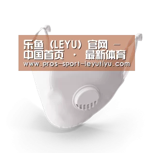 N95 口罩