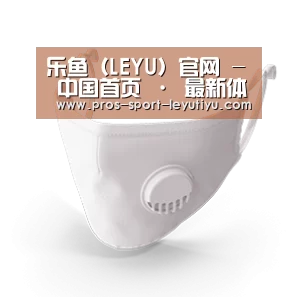 N95 口罩