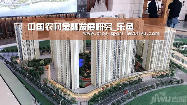 中国农村金融发展研究_乐鱼