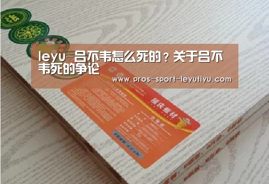 leyu-吕不韦怎么死的？关于吕不韦死的争论