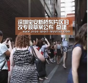 深圳宝安新桥东片区旧改专规草案公布 总建面达431万㎡-乐鱼体育