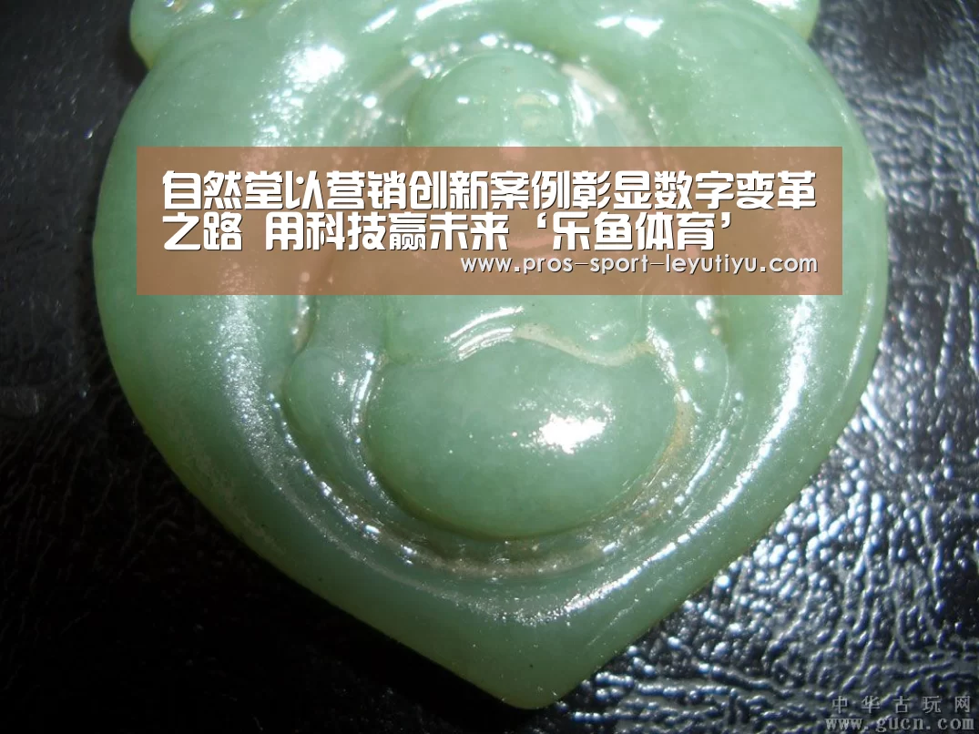 自然堂以营销创新案例彰显数字变革之路 用科技赢未来‘乐鱼体育’