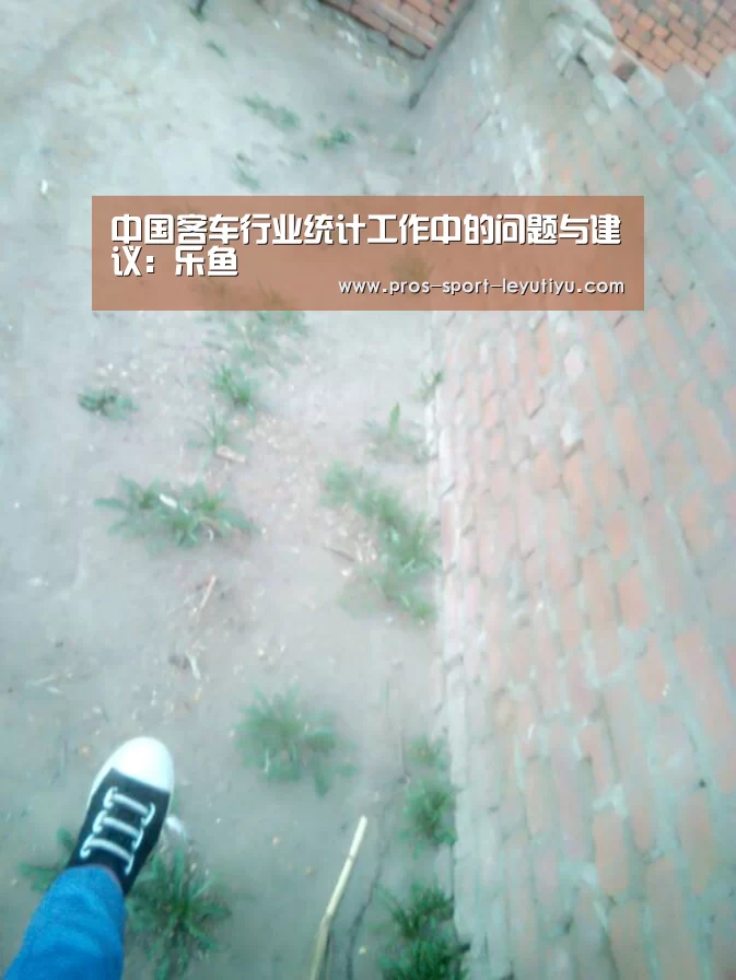 中国客车行业统计工作中的问题与建议：乐鱼